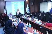برگزاری کارگاه آموزشی دوروزه مراقبت از تکامل کودکان CCD در شهرستان اسلامشهر